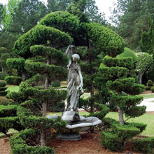 Pearl Fryar's Topiary Garden - fallonlawfirm.com